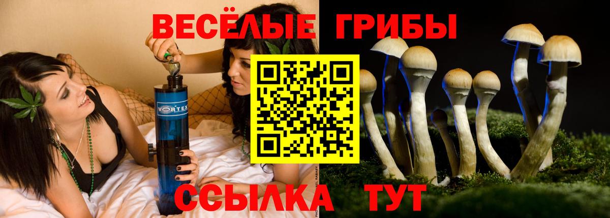Галлюциногенные грибы GOLDEN TEACHER  Вход с VPN  Норильск 